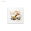 Rice paper set RSM282